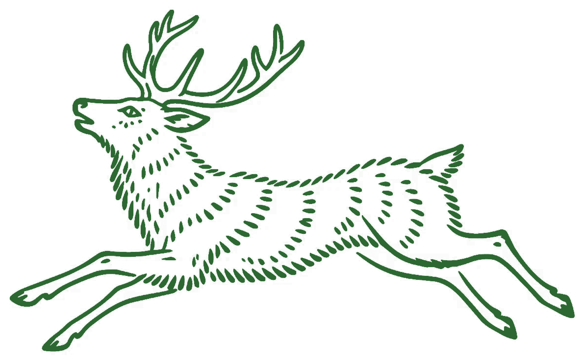 Veluwse Plas hert logo